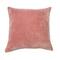 Hello Honey® 20" Square Velvet Knife Edge Pillow Cover